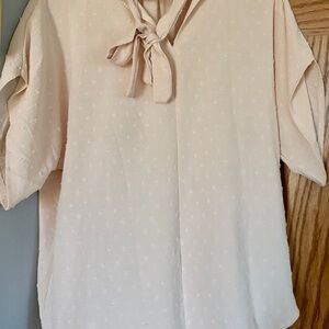 Elegant Cream/Blush Blouse